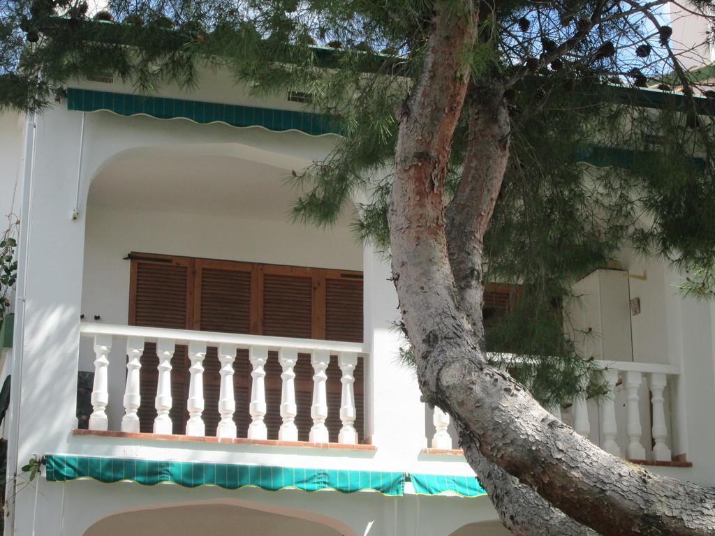 Residence Los Jardines Alcoceber Номер фото